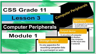 CSS Gr11 Q1  Lesson 3  Computer Peripherals