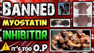 300% Muscle Growth - this mouse is jacked AF || 4x the gains #myostatin #follistatin (THROWBACK)