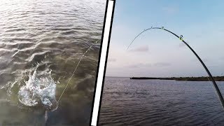 ULTRA SHALLOW sight fishing ankle deep water