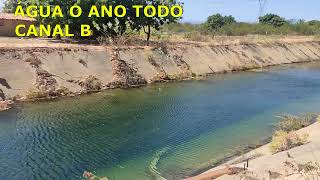 VENDO 13 HECTARES PRODUZINDO EM SOBRADINHO BA