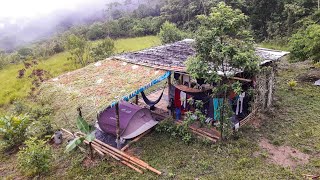 Proceso de construcción Bambú | Mini pérgola