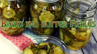 ice box bread and butter pickles (no canning needed)