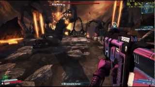 Borderlands 2 - Farming the Warrior with Baby Maker