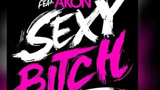 Akon sexy Bitch