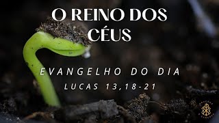 EVANGELHO DO DIA 29/10/2024 - LUCAS 13,18-21 - REINO DOS CÉUS