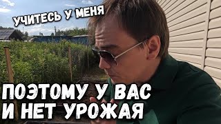 Поэтому у Вас и нет урожая, учитесь у меня. Дачный влог и первые результаты посева на моей даче.