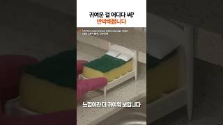 귀여운 주방꿀템! (침대 수세미 🛏️ 🧽 졸귀!) #shorts