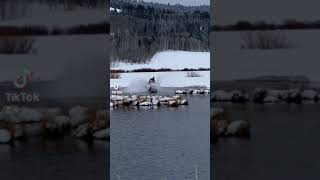 Snowmobile water skipping fail