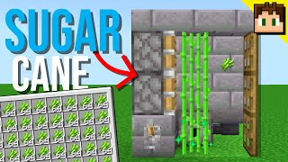 How To Build an EASY SUGARCANE Farm! [Minecraft Bedrock 1.21] Tutorial