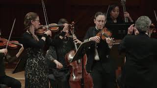 Boston Baroque — Antonio Vivaldi's Concerto in B minor for four violins