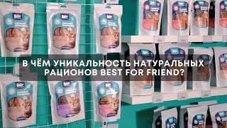 Рекламный ролик для компании Best for friends