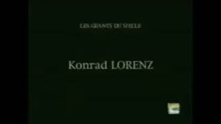 Experimento de Konrad Lorenz sobre o instinto animal