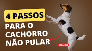 Dica pet:  4 PASSOS PARA ENSINAR SEU CÃO A NÃO PULAR NAS PESSOAS