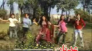 Pashto Comedy Drama 2011 - Tarboor Da Daba Khan - Part 11 - Song: Khalak Hairan Ba Kram