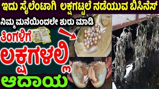 ಕಡಿಮೆ ಬಂಡವಾಳದಲ್ಲಿ ಅದ್ಭುತವಾದ ಬಿಸಿನೆಸ್ | Best Business Idea In Kanada | #pearlsfarmingbusiness