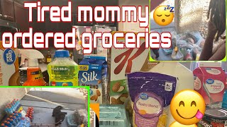 Walmart Delivery Grocery Haul