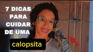 7 Dicas para cuidar de uma calopsita, parte 2| CanaldaRhy#calopsita#pets#birds#viralvideo#aves