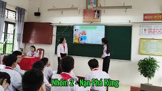 Nhóm 2 - Nạn Phá Rừng