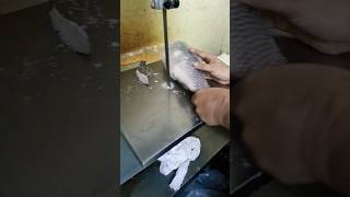 फिश कटिंग 🐬🐠मशीन से कायेसा#fish #fishingvideo #fishing #fishcating #shortvideo #trending #vairlvideo