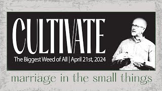 The Biggest Weed of All | Cultivate | April 21st, 2024