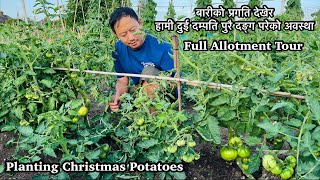 Planting Winter Potatoes | July Harvest | Full Allotment Update | Gardening Vlog | Nepali Family UK