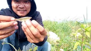 Mancing ikan // yang dapat ikan apa ini namanya!!! dan kedatangan tamu tak di undang