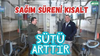 Doğru sağım, sağımhane de nelere dikkat etmeliyiz?