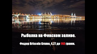 Ночная рыбалка на Финском заливе. Парк 300 лет Петербурга. Фидер Briscola Grumo, 4.27 до 140 гр.