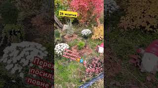 ПІДПИШИСЬ SUBSCRIBE Pomysł na kwietnik An idea for a flower bed Ідея для клумби #idealife#gardenlife