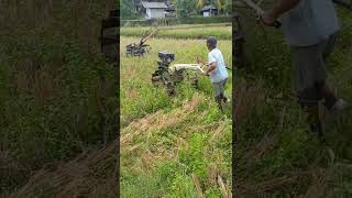 palkir dulu bosss!! 2 traktor sawah quick#shorts  #mesintraktor