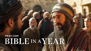 205. Zacchaeus & Bartimeaus - The Gospels | Bible in a Year