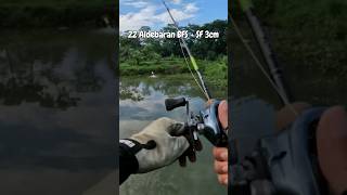 22 Shimano Aldebaran BFS HG + SF 3cm #bfs #fishing #snakehead #mancing #gabus