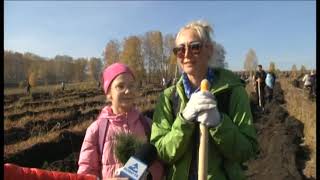 Дари добро: посади дерево в Новокузнецке. Сюжет Ново ТВ