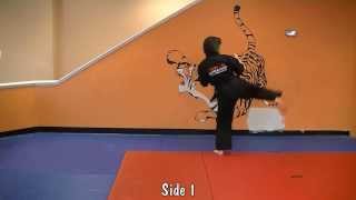 Kicking Set - Kenpo Forms and Sets