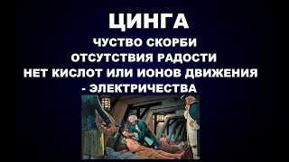 117  ЦИНГА - ЧУВСТВО СКОРБИ ИЛИ ОТСУТСТВИЕ РАДОСТИ  НЕТ КИСЛОТ ИЛИ ИОНОВ ДВИЖЕНИЯ  -  ЭЛЕКТРИЧЕСТВА