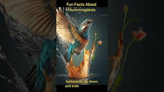 Fun Facts About Hummingbirds