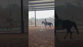 Some jumps from todays lesson🥰❤️#ponylover #equestrian #equitation #perfect