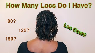 Loc Count || Two Strand Twist Locs || Becca Wiss