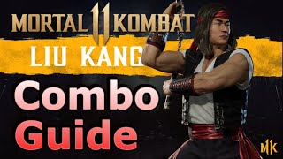 MK11 Liu Kang Combo Guide - Tournament Variation (Inputs Included)