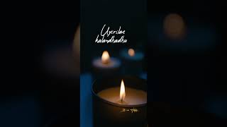 Oliyilae Therivadhu dhevadhaiya🕯️🕯️🕯️___Its me Happy....