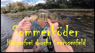 Sommerköder - Hängerfrei durchs Seerosenfeld