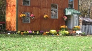 Tiny house for under $5000 Update