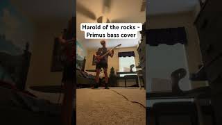 Harold of the rocks - Primus bass cover