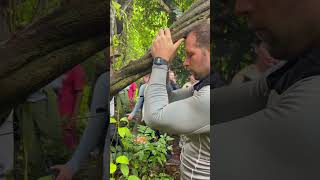 Harvesting Plant Medicine in the Jungle