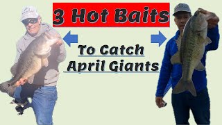 3 Hot!! Baits to Catch April Giant Bass!