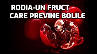 RODIA Un fruct care previne bolile