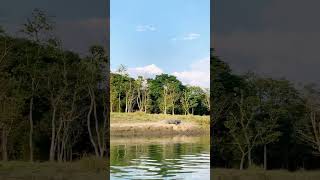 Dangerous boat ride in crocodile infested water in Nepal #shorts #Nepal