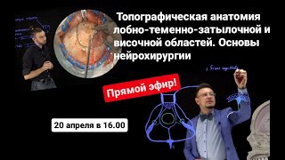 Топографическая анатомия лобно-теменно-затылочной и височной областей. Основы нейрохирургии