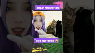 jurus tatapan menyakitkan tanpa menyentuh 😂#shorts #viral #kucing