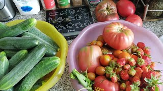 30.07-01.08.22 Влог-мой вкусный похудейский рацион-море грибов-солю огурцы-покупка продуктов-пою...